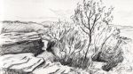 Drawing Texture – Landscape Sketches For Beginners