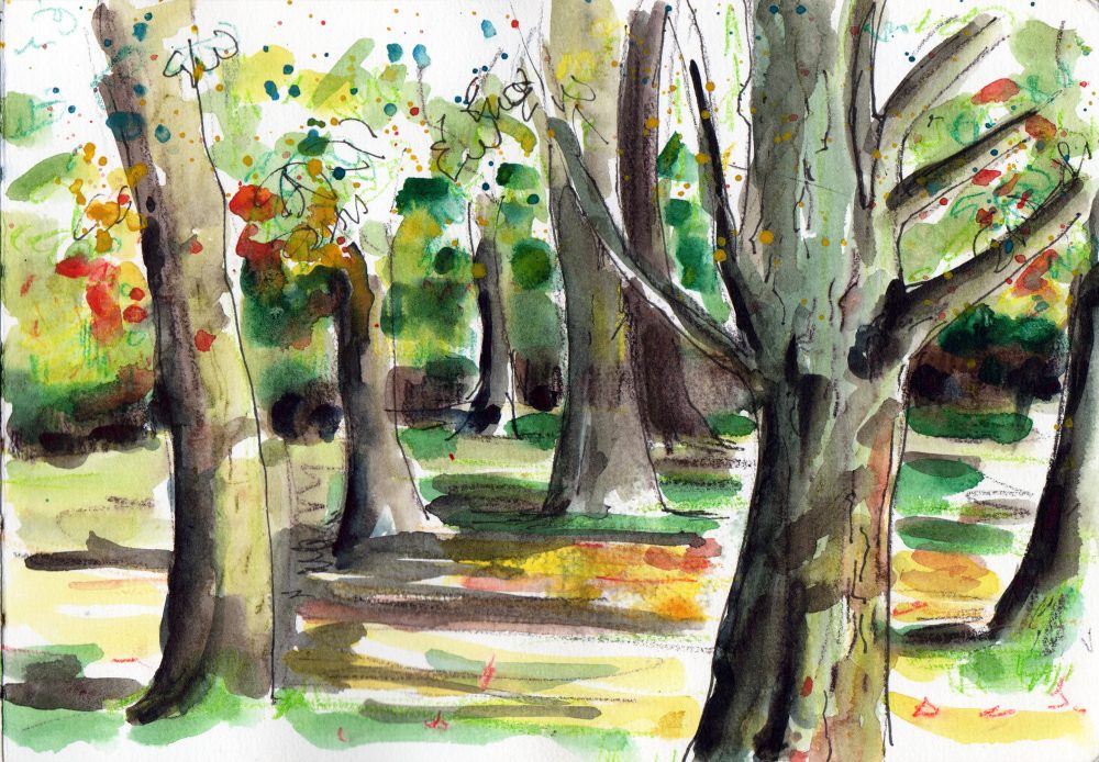 Using watercolour to show texture in landscape sketches - Sketch by Sophie Peanut